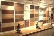 images/album/large/jaipur/Photo-0095.jpg